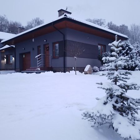 Domek Nad Zalewem Janów Podlaski Εξωτερικό φωτογραφία